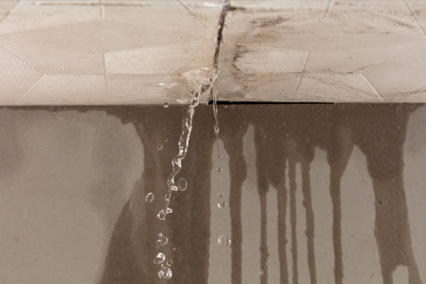 Professional Burst Pipe Cleanup technician working in Big Sandy, TX